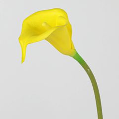 Cành Hoa Calla Lily PU Form Lớn