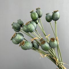 Bó Nụ Hoa Mọng Kiểu Mỹ