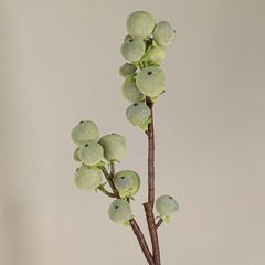 Cành Cây Quả Mọng Phủ Nhung Decor Không Gian Hiện Đại