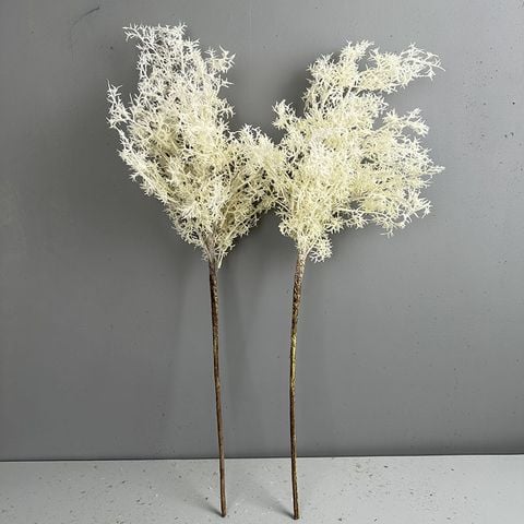 Cành Cỏ Khói Cotinus Decor Không Gian