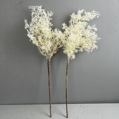 Cành Cỏ Khói Cotinus Decor Không Gian
