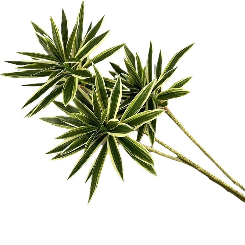 Cành Măng Tây Tre Keo Mềm Decor Hiện Đại