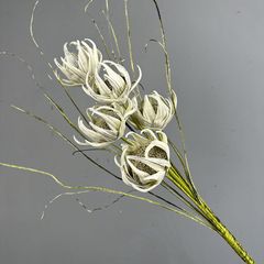 Hoa Cúc Hướng Dương EVA Phong Cách Châu Âu Cổ Điển