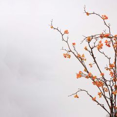 Hoa Giả Decor Quả Mọng Kiểu Dây Leo