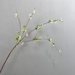 Hoa Tuyết Liễu Trắng Trang Trí Không Gian Nhẹ Nhàng