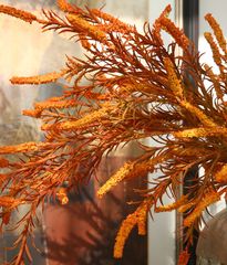 Hoa Lụa Giả Trang Trí Cành Hoa Setaria