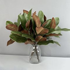 Cành Lá Mộc Lan Decor Không Gian