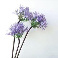 Hoa Lụa Giả Decor Mô Hình Hoa Súng Châu Phi Sang Trọng