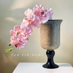 Bình Hoa Thủy Tinh Cao Cấp Phong Cách Vintage