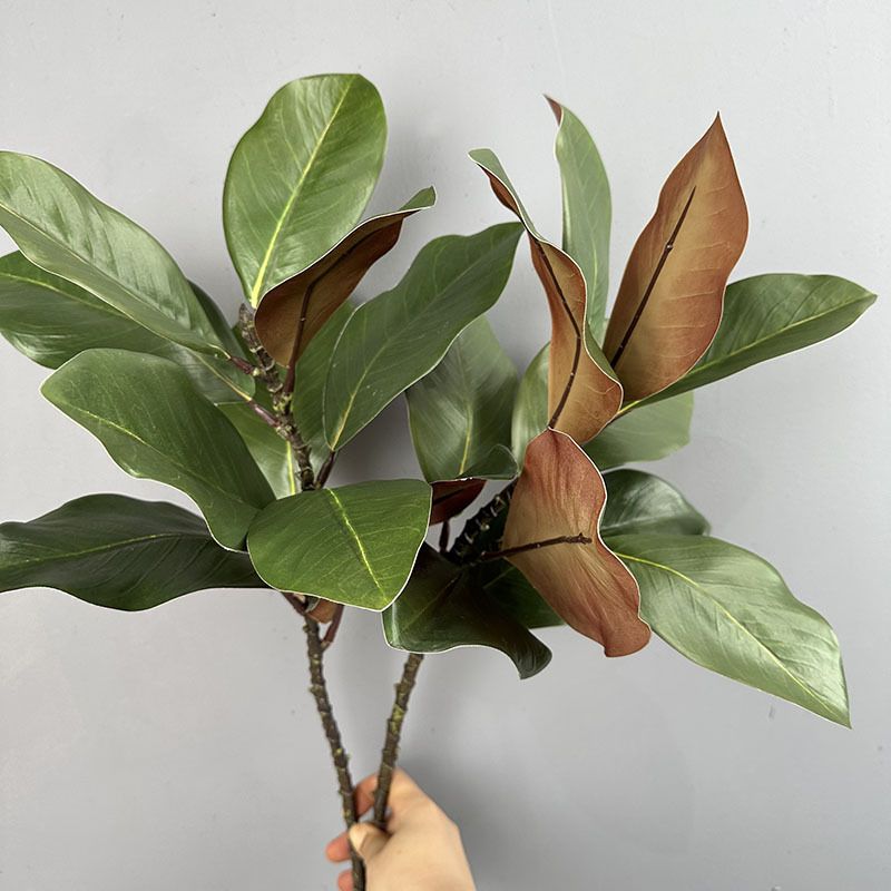 Cành Lá Mộc Lan Decor Không Gian
