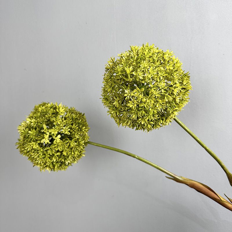 Hoa Bóng Hình Tròn Độc Đáo Decor Không Gian