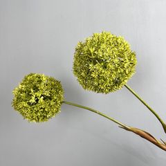 Hoa Bóng Hình Tròn Độc Đáo Decor Không Gian