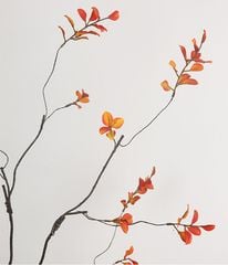 Cành Lá Phong Đỏ Trang Trí Phong Cách Bắc Âu