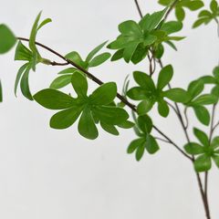Lá Chuông Giả Phong Cách Nhật Trang Trí Nghệ Thuật