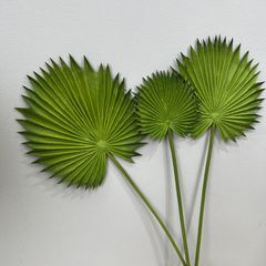 Combo 3 Lá Cọ Sậy Nhựa Decor