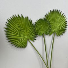 Combo 3 Lá Cọ Sậy Nhựa Decor