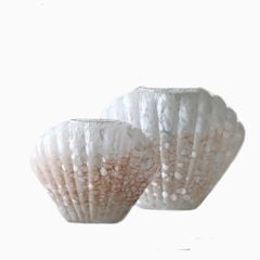 Bình Hoa Thủy Tinh Dáng Vỏ Sò Phong Cách Pháp Sang Trọng
