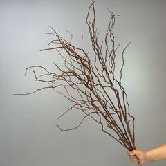 Cành Rồng Liễu Giả Dáng Khô