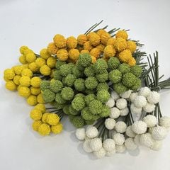 Bó 9 Hoa Quả Cầu Tròn Bồ Công Anh Nhỏ