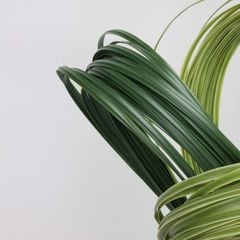 Cành Lá Giả Trang Trí Kiểu Dây Cỏ Cao Su Mềm Mại