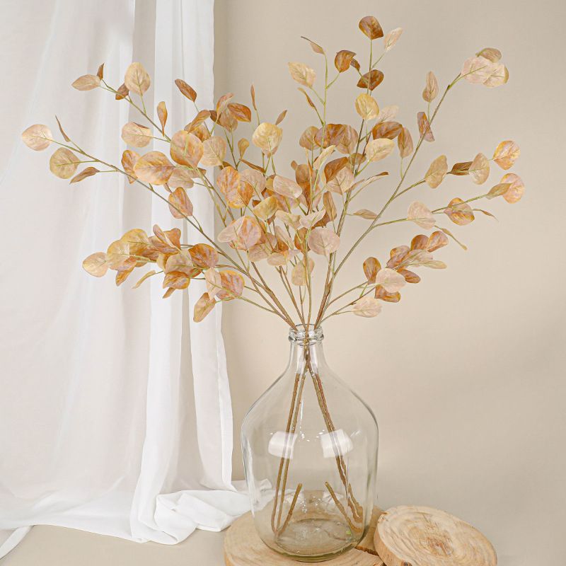 Lá Bạch Đàn Cánh Tròn Decor