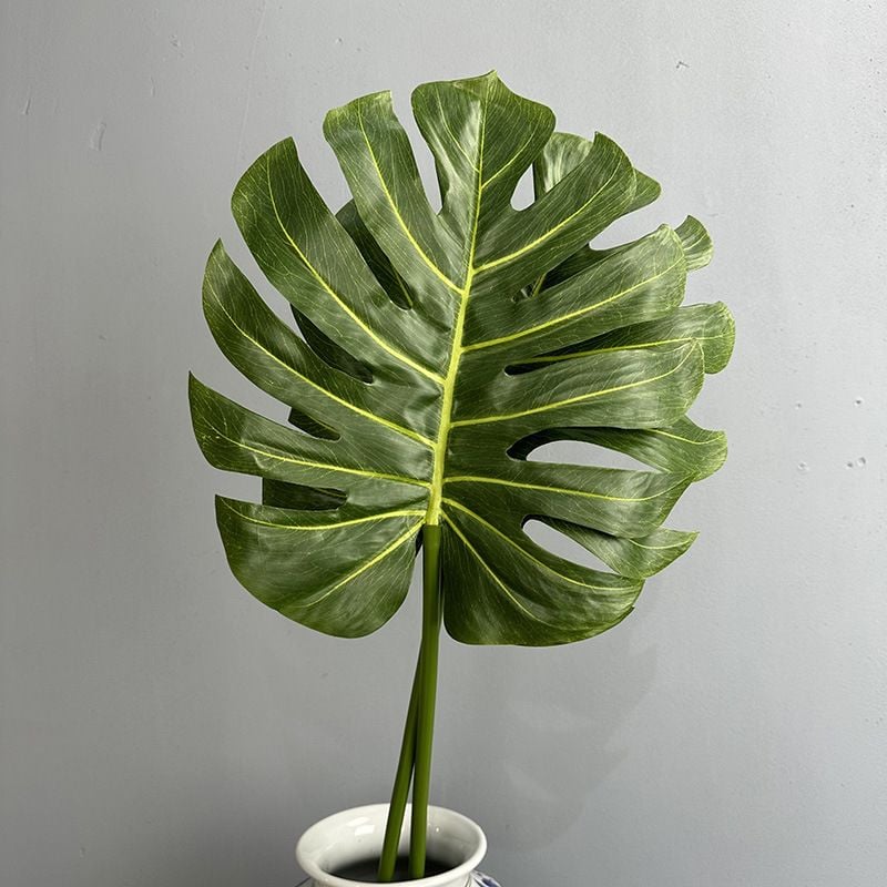 Lá Rùa Xanh Decor