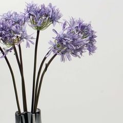 Hoa Lụa Giả Decor Mô Hình Hoa Súng Châu Phi Sang Trọng