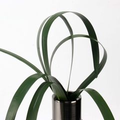 Cành Lá Giả Trang Trí Kiểu Dây Cỏ Cao Su Mềm Mại