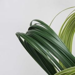 Cành Lá Giả Trang Trí Kiểu Dây Cỏ Cao Su Mềm Mại