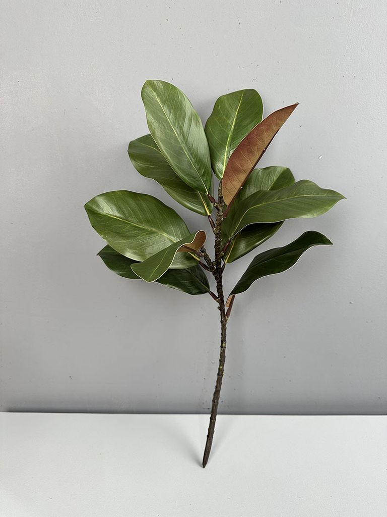 Cành Lá Mộc Lan Decor Không Gian