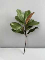 Cành Lá Mộc Lan Decor Không Gian
