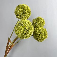 Hoa Bóng Hình Tròn Độc Đáo Decor Không Gian