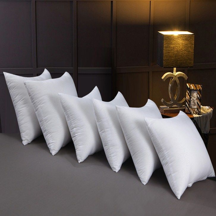 Ruột Gối Tựa Lưng 35x50cm