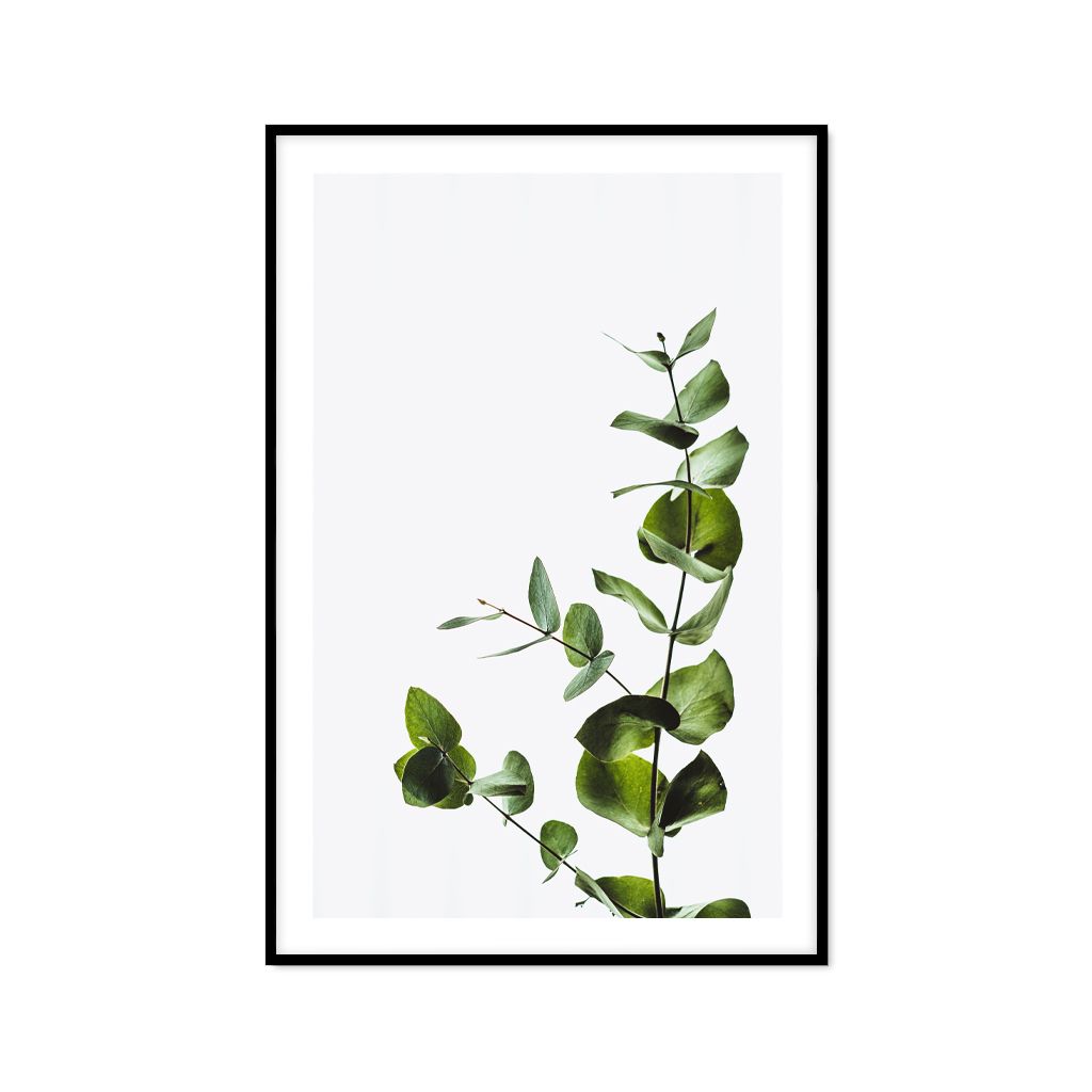 Tranh Thực Vật Passion FR1160