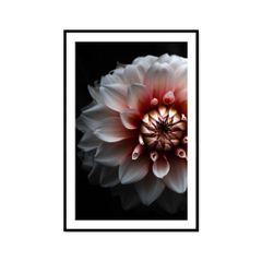 Tranh Thực Vật Passion FR1266