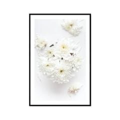 Tranh Thực Vật Passion FR1217