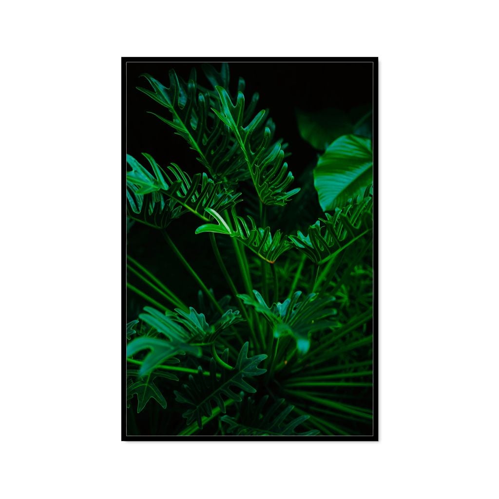 Tranh Thực Vật Passion FR1165