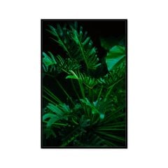 Tranh Thực Vật Passion FR1165