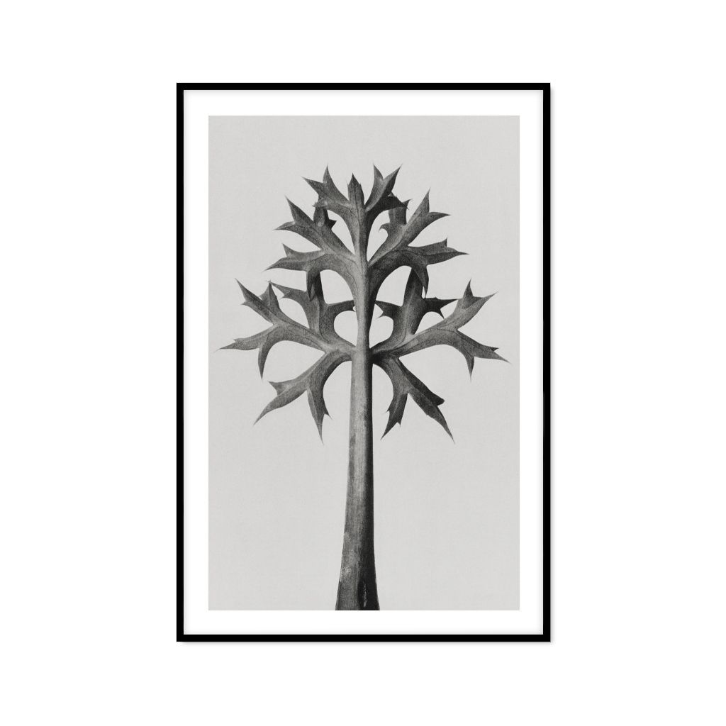 Tranh Thực Vật Passion FR1269