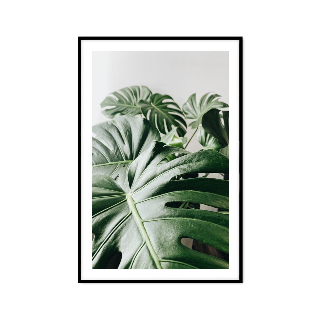 Tranh Thực Vật Passion FR1171