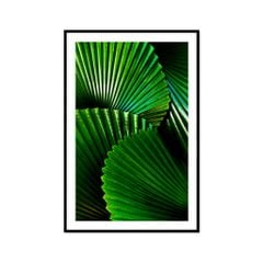 Tranh Thực Vật Passion FR1167