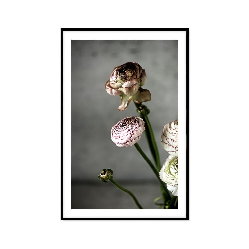 Tranh Thực Vật Passion FR1211