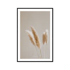 Tranh Thực Vật Passion FR1176