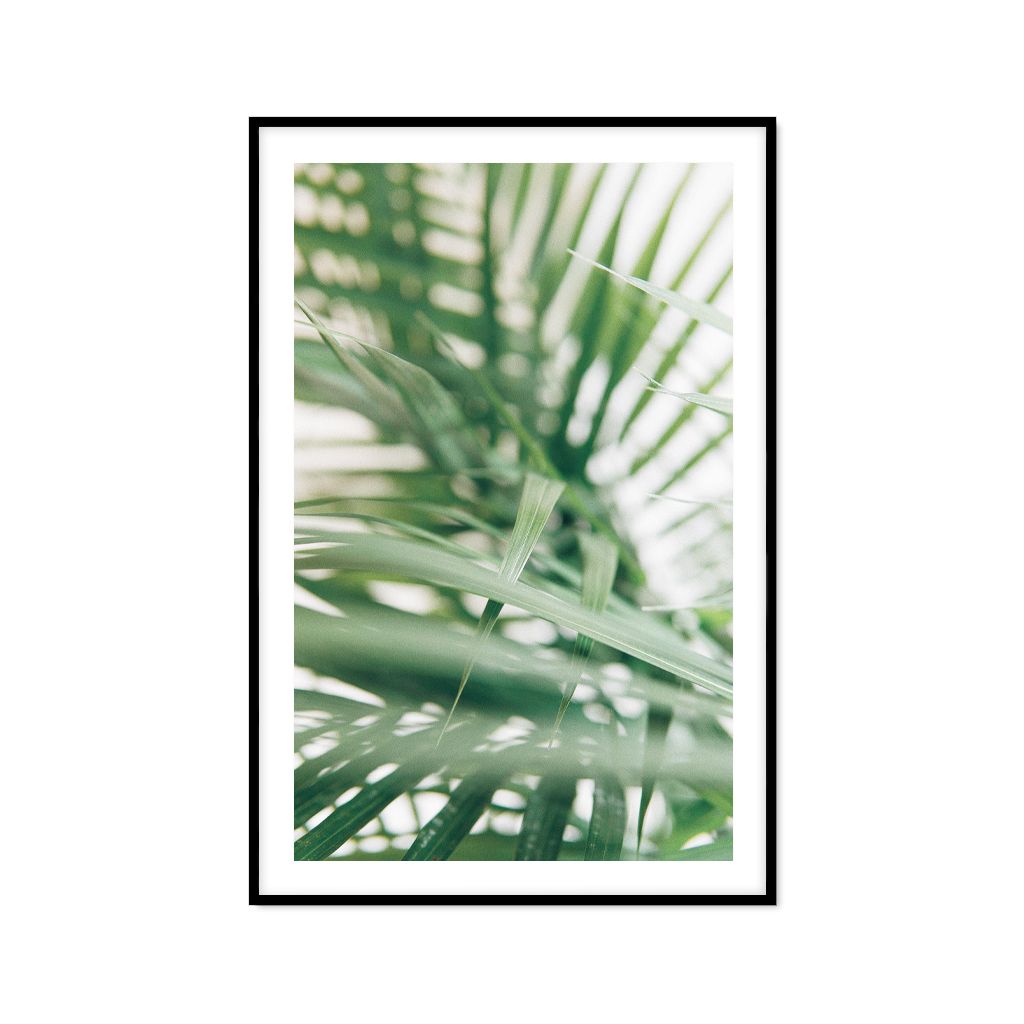 Tranh Thực Vật Passion FR1159