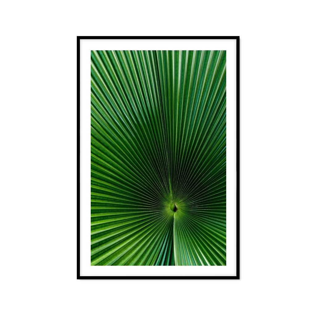 Tranh Thực Vật Passion FR1166