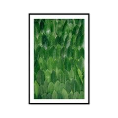 Tranh Thực Vật Passion FR1189