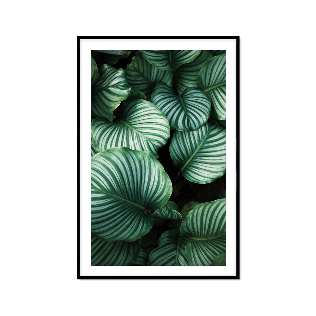 Tranh Thực Vật Passion FR1174