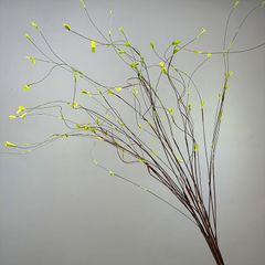 Cành Liễu Giả Cành Liêu Rồng Decor
