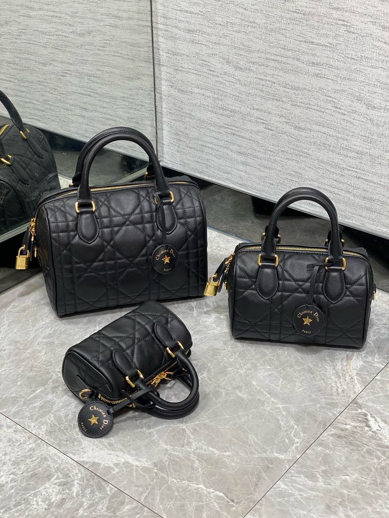 Túi Xách Nữ Dễ Thương - Phong Cách Mới Cho Phái Đẹp