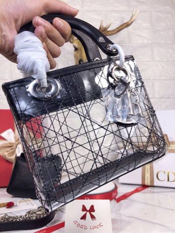 Túi dior trong suốt size mini 18cm